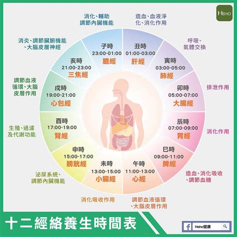 五行經絡|十二經絡養生時間表